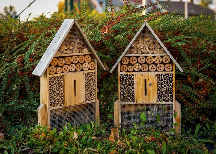 ホテル Ibis Styles Citywest ブダペスト